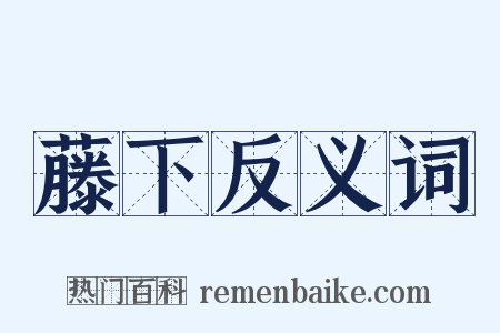 藤下反义词是什么意思的图片